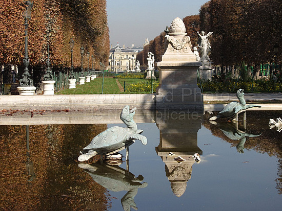 Paris Scenery