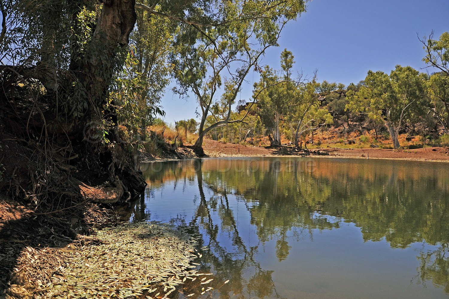 Eagle Rock Pool