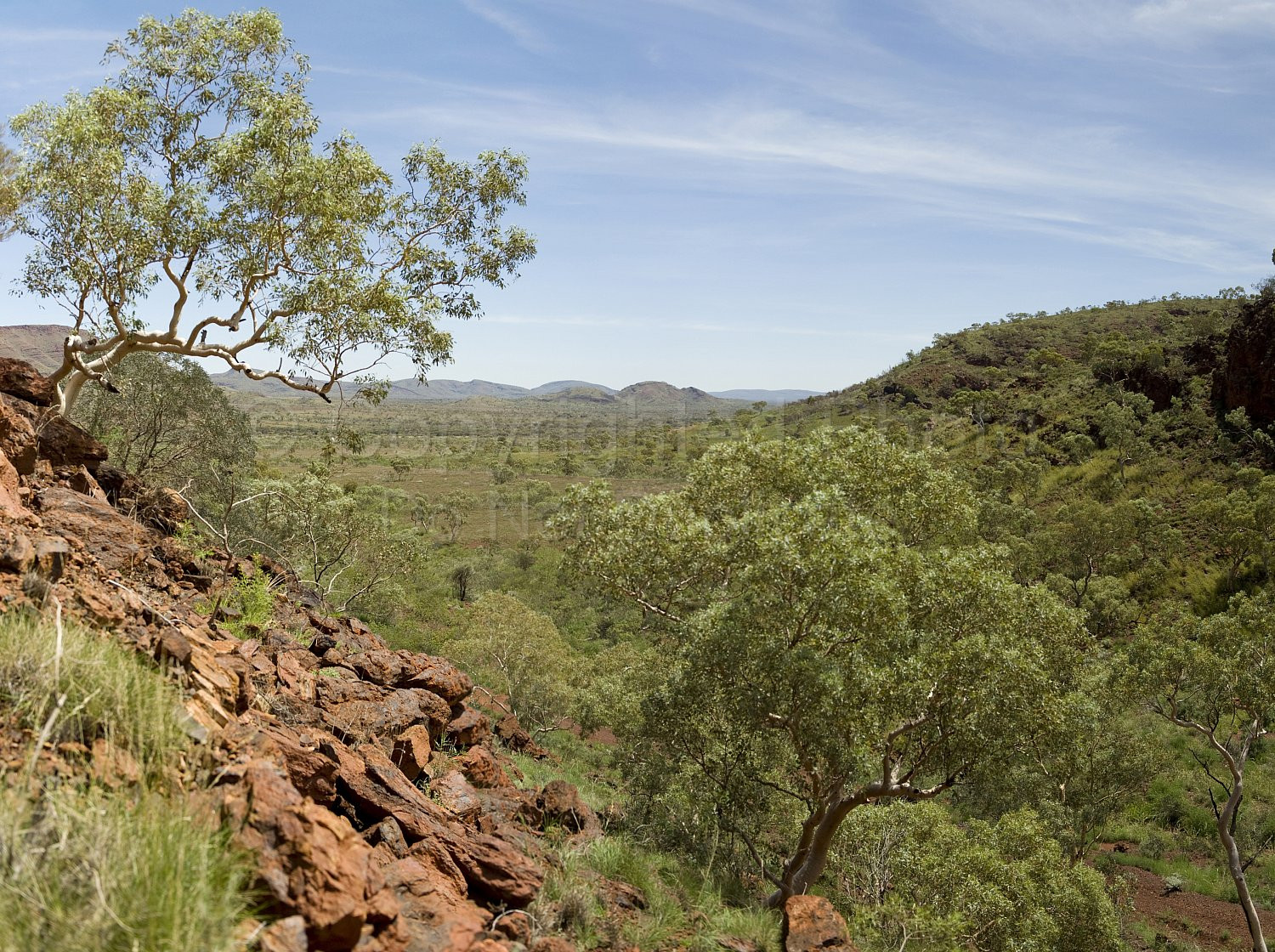 Pilbara landscape