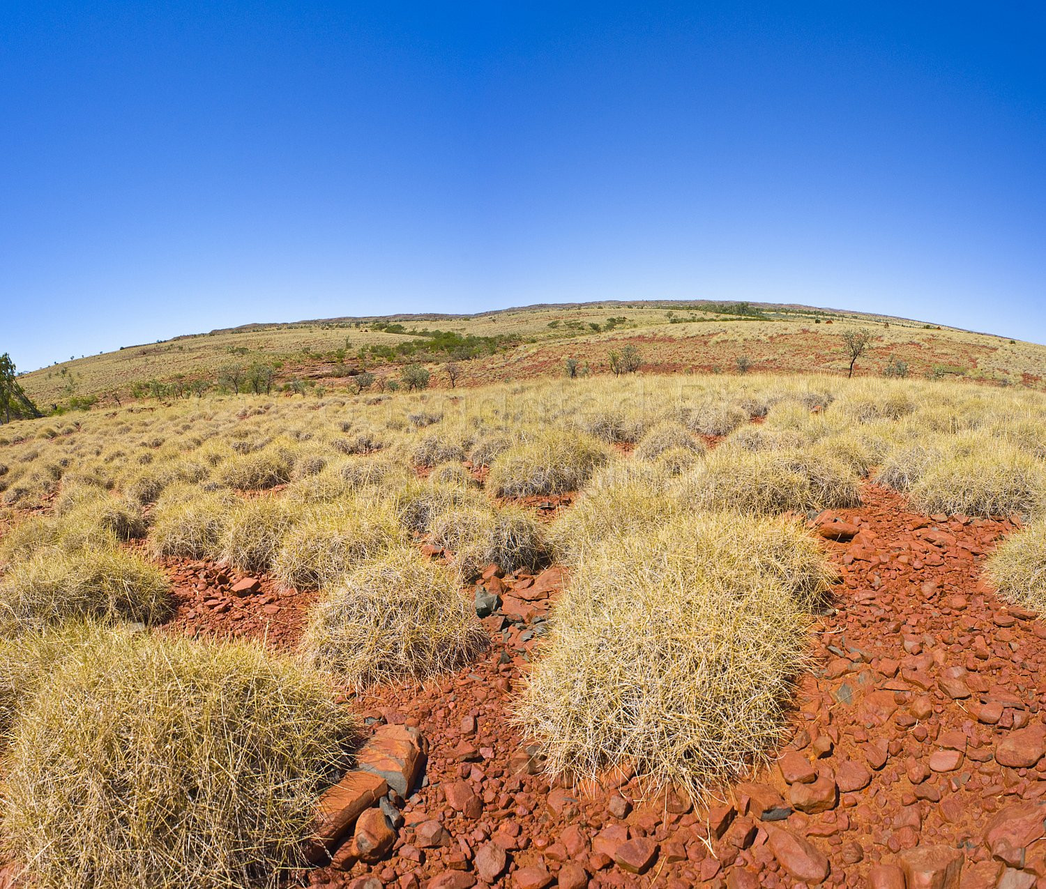 Pilbara landscape