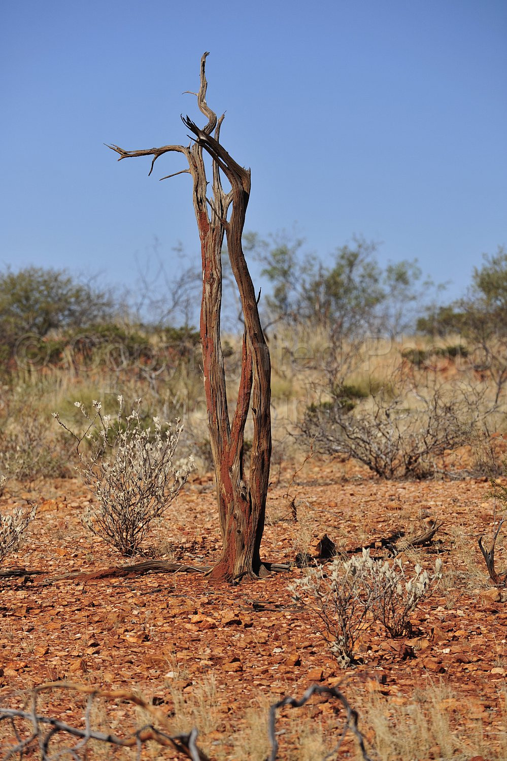 Pilbara landscape