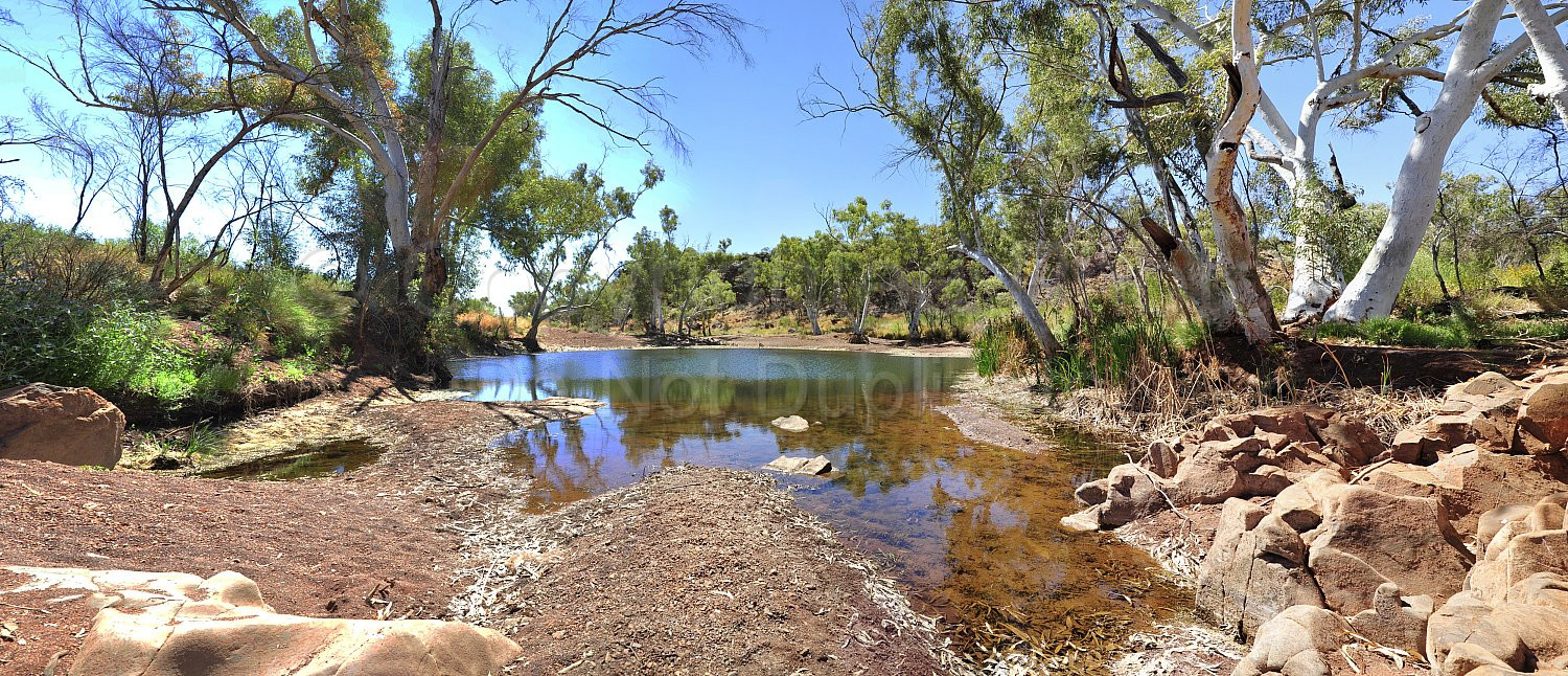 Eagle Rock Pool