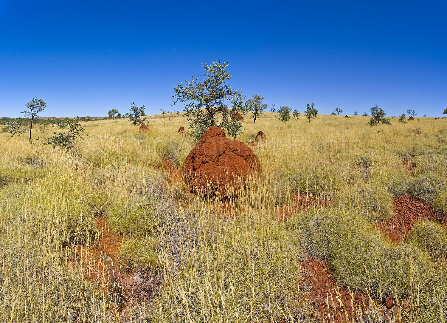 Pilbara landscape
