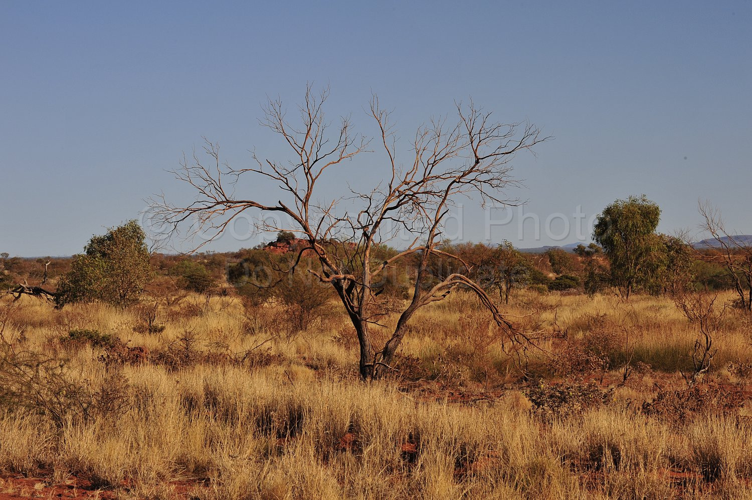 Pilbara landscape