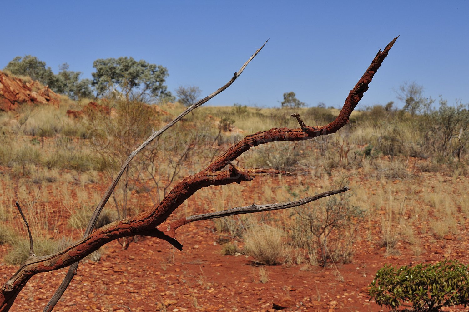 Pilbara landscape