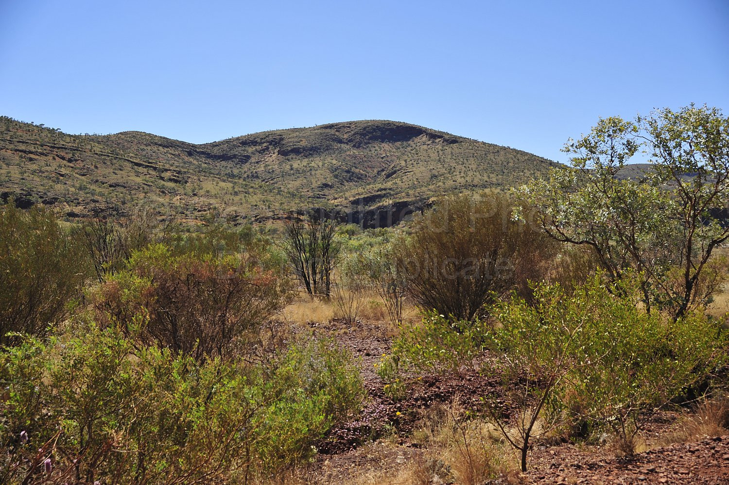 Pilbara landscape