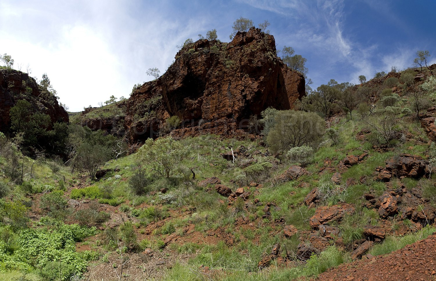 Pilbara landscape