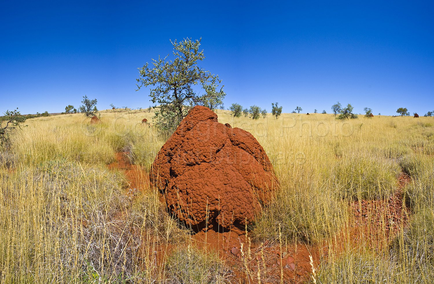 Pilbara landscape