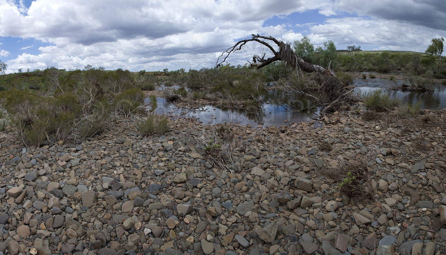 Pilbara landscape