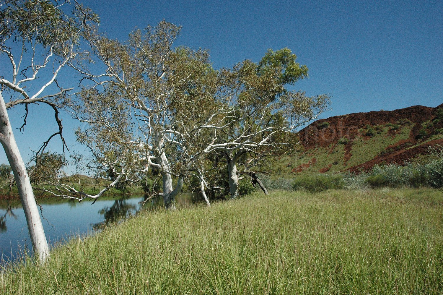 Pilbara landscape