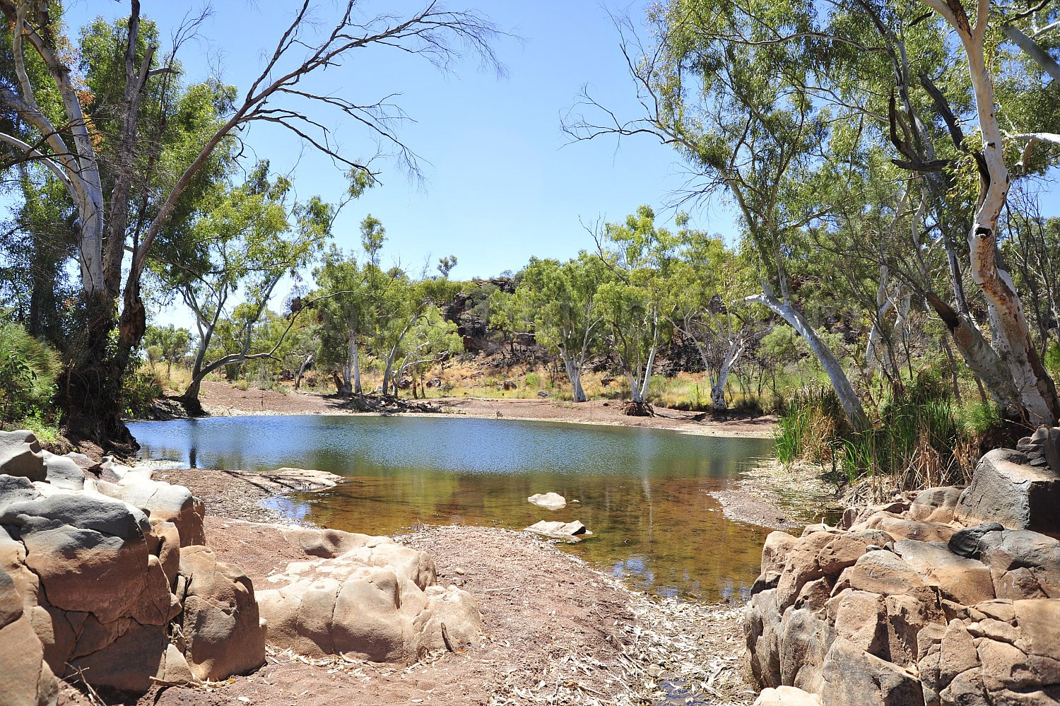Eagle Rock Pool