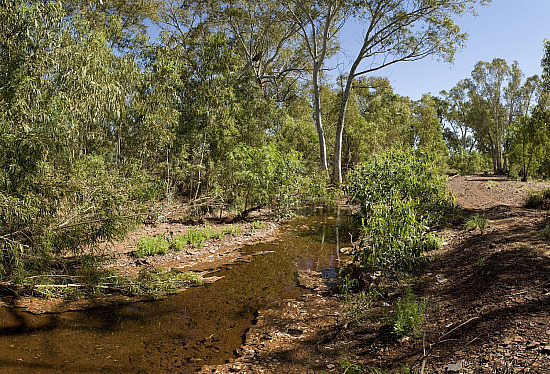 Pilbara landscape