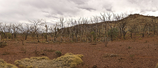 Pilbara landscape