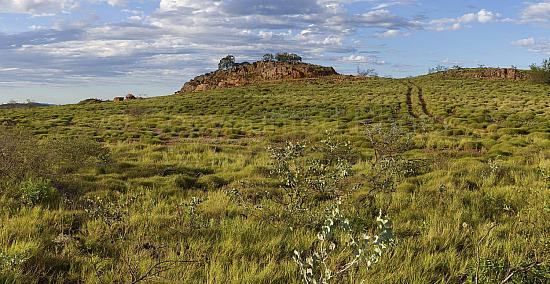 Pilbara landscape