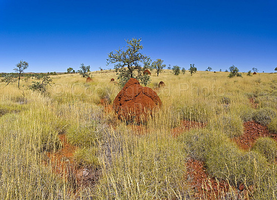Pilbara landscape