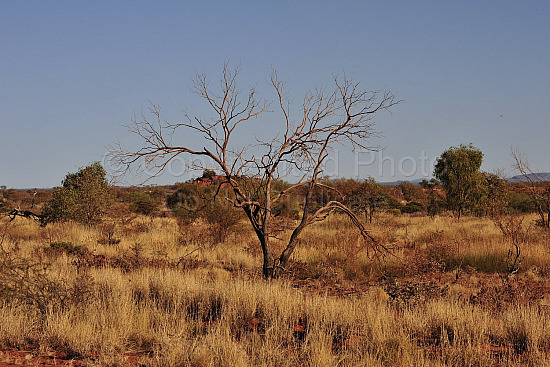 Pilbara landscape