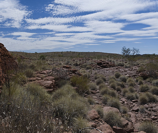 Pilbara landscape