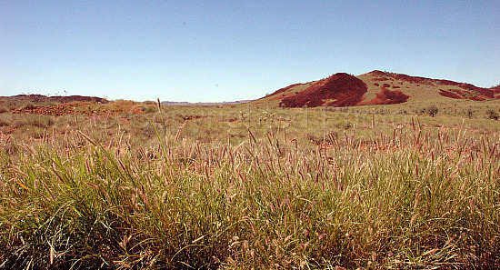Pilbara landscape