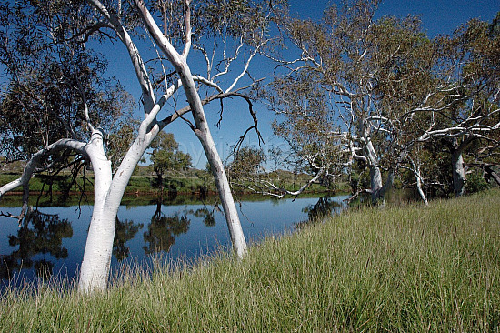 Pilbara landscape
