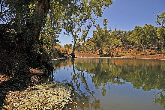 Eagle Rock Pool