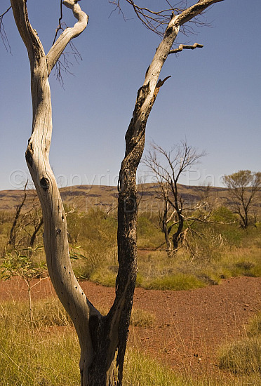 Pilbara landscape