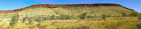 Pilbara landscape