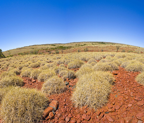 Pilbara landscape