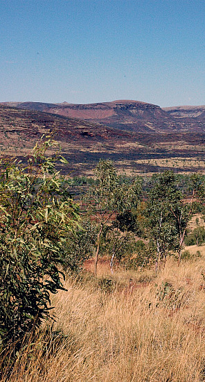 Pilbara landscape