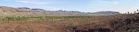 Pilbara landscape
