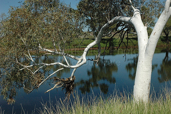 Pilbara landscape