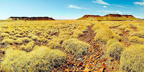Pilbara landscape
