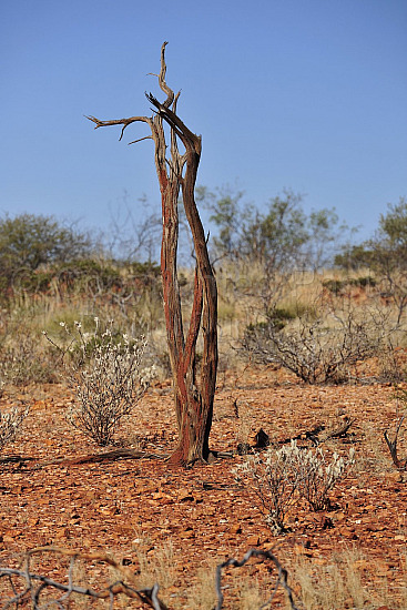 Pilbara landscape