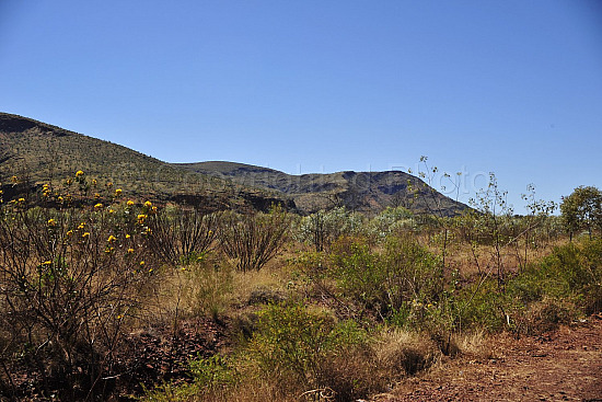 Pilbara landscape