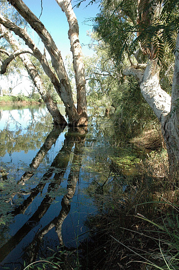 Pilbara landscape