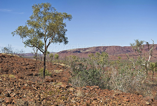 Pilbara landscape