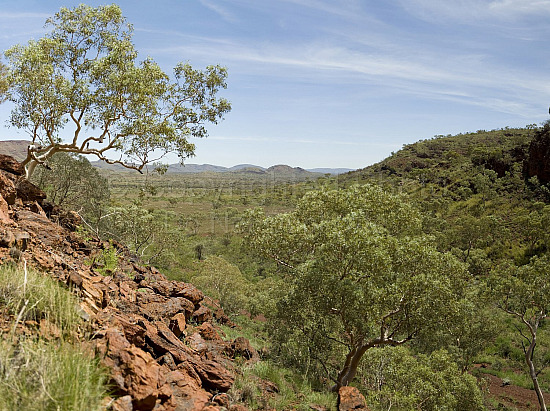 Pilbara landscape