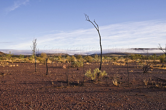 Pilbara landscape