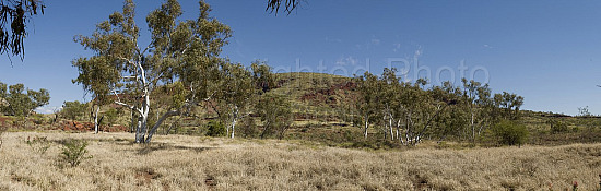 Pilbara landscape
