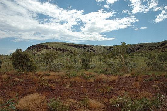Pilbara landscape