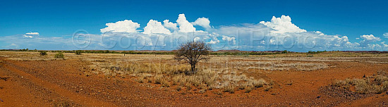 Pilbara landscape