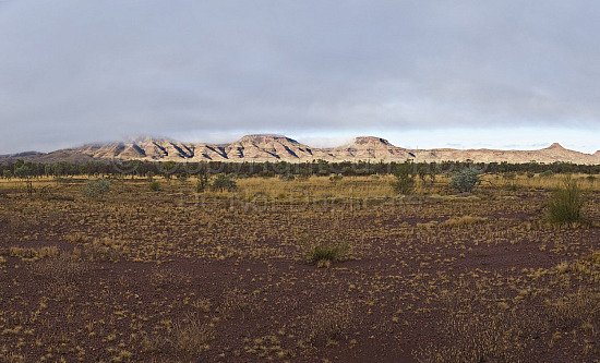 Pilbara landscape