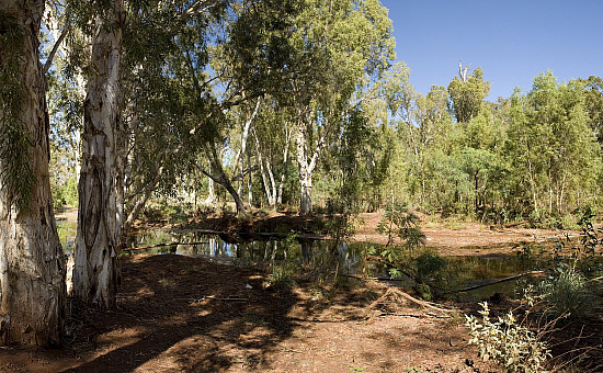 Pilbara landscape