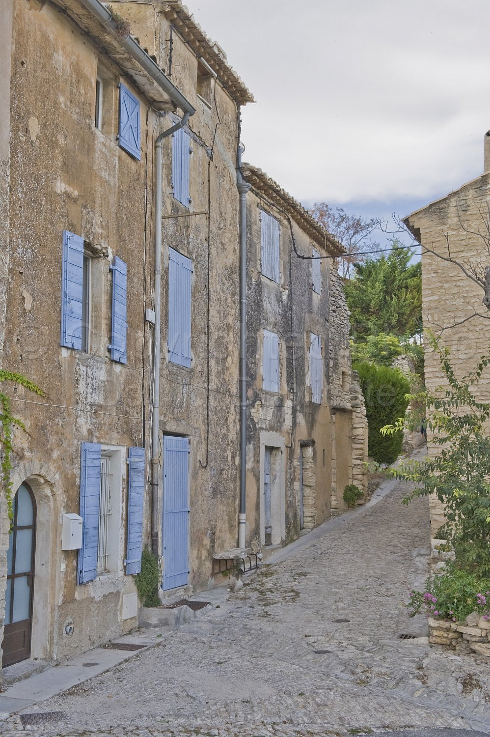Provence Scene