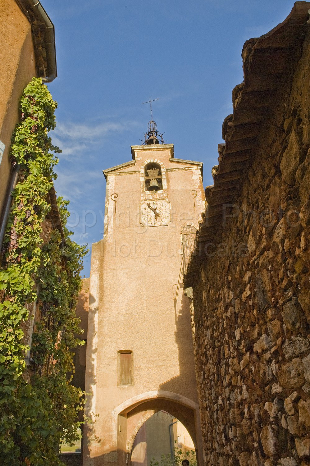 Provence Scene
