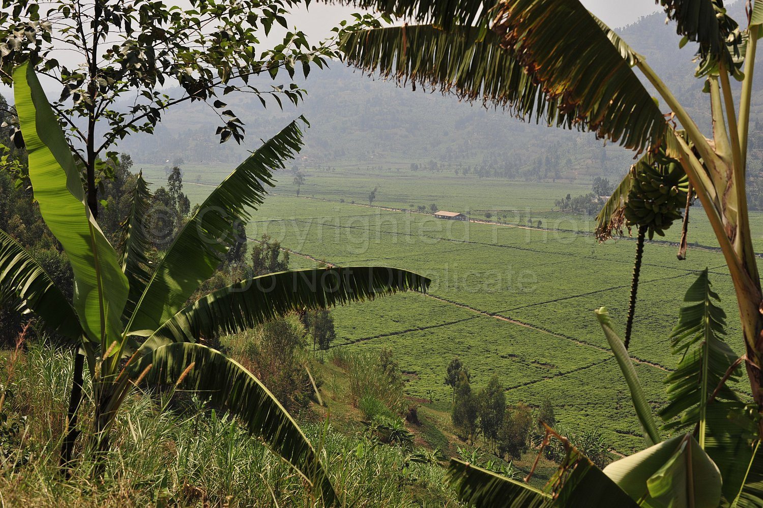 Rwanda images