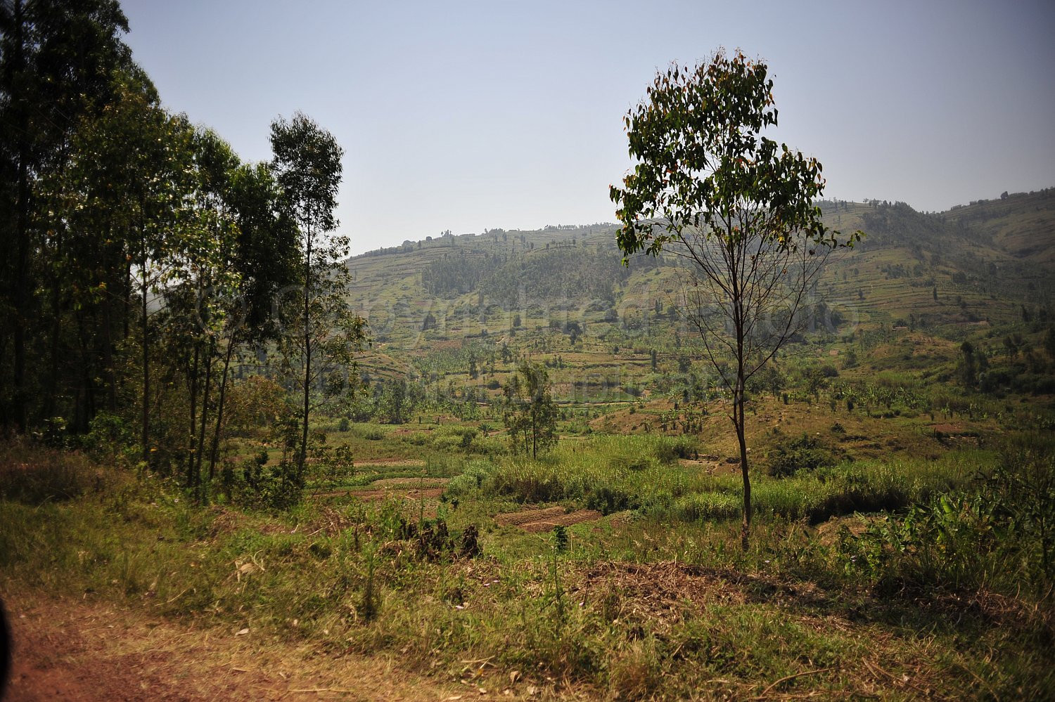 Rwanda images