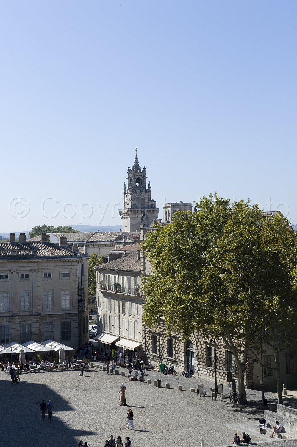 Provence Scene