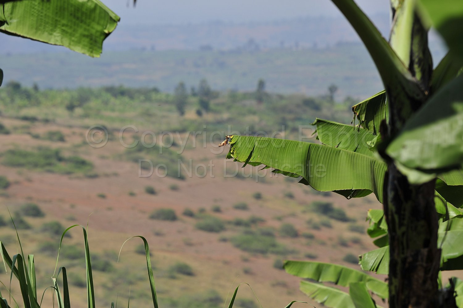 Rwanda images