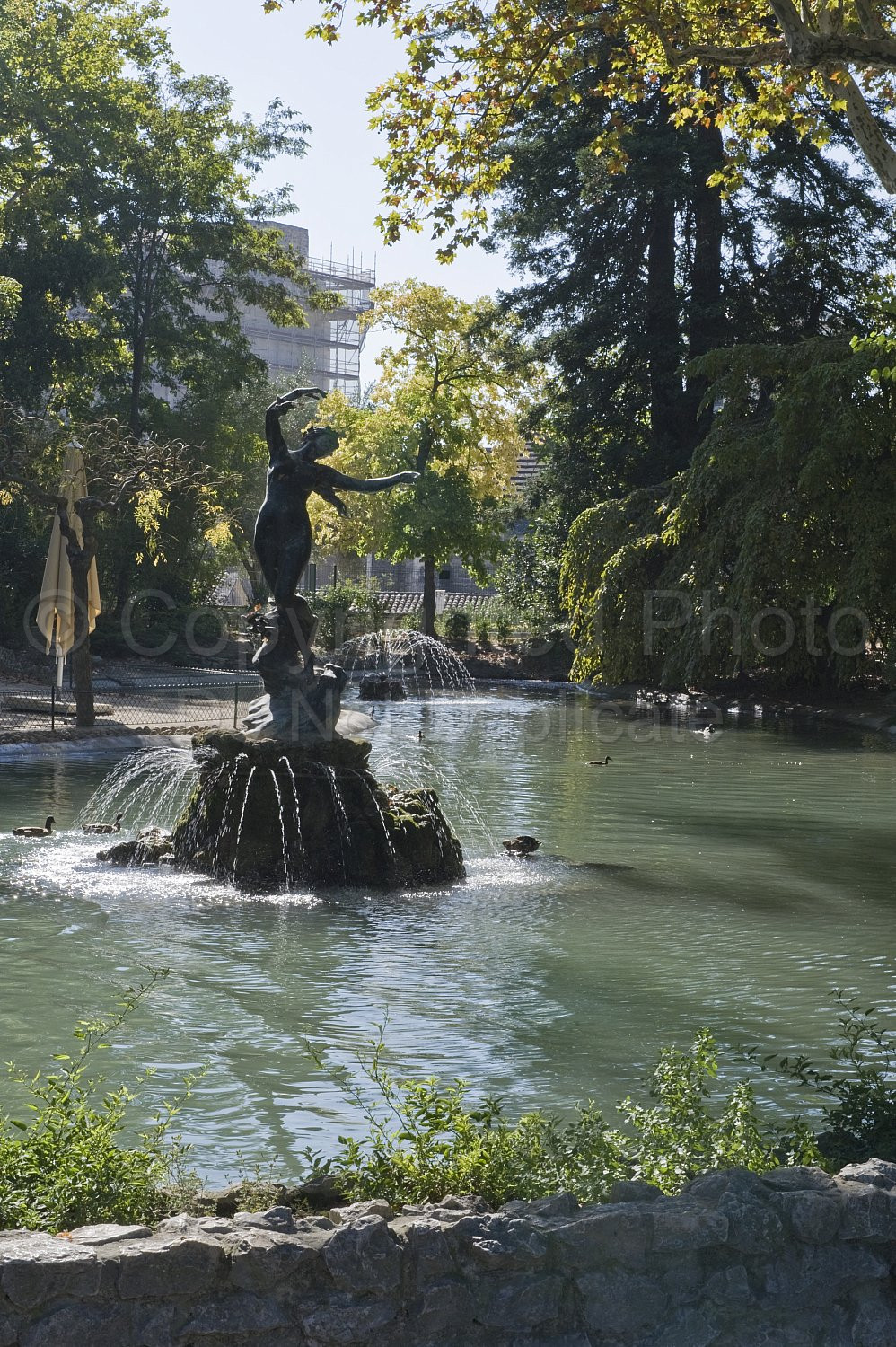 Provence Scene