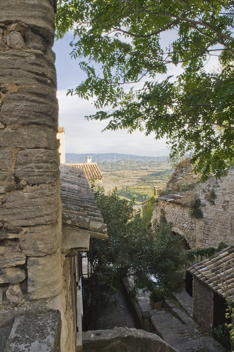 Provence Scene